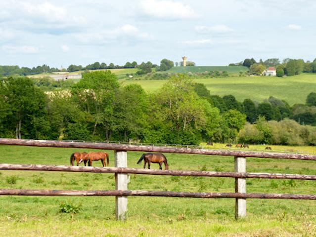 Maison vente à Mortagne-au-Perche, Orne