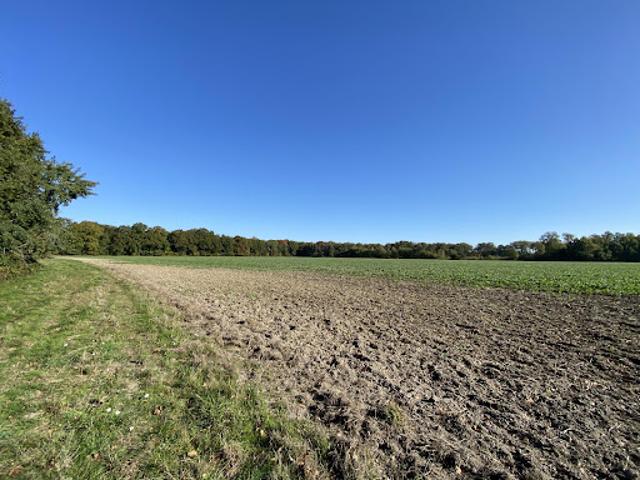 Maison vente à Vierzon, Méry-ès-bois