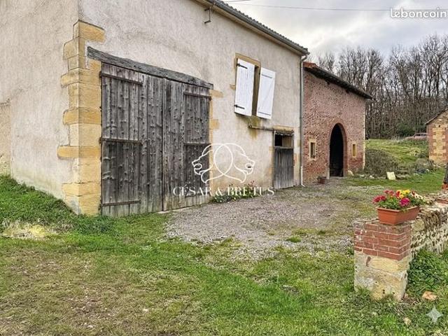 Maison vente à Roanne, Saint-pierre-la-noaille