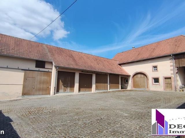 Maison vente à Haguenau-Wissembourg, Zinswiller
