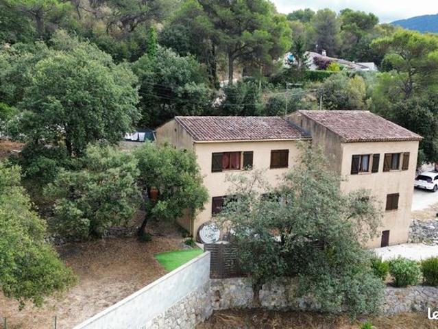 Maison vente à Nice, Drap