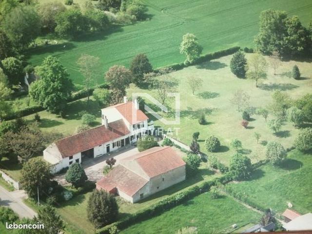 Maison vente à Chalon-sur-Saône, Ciel