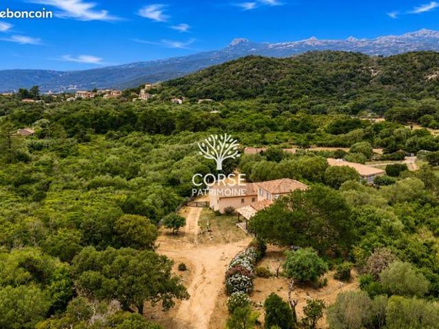 Maison vente à Sartène, Figari