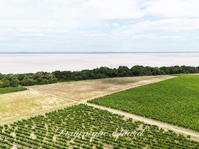 Maison vente à Lesparre-Médoc, Saint-yzans-de-médoc