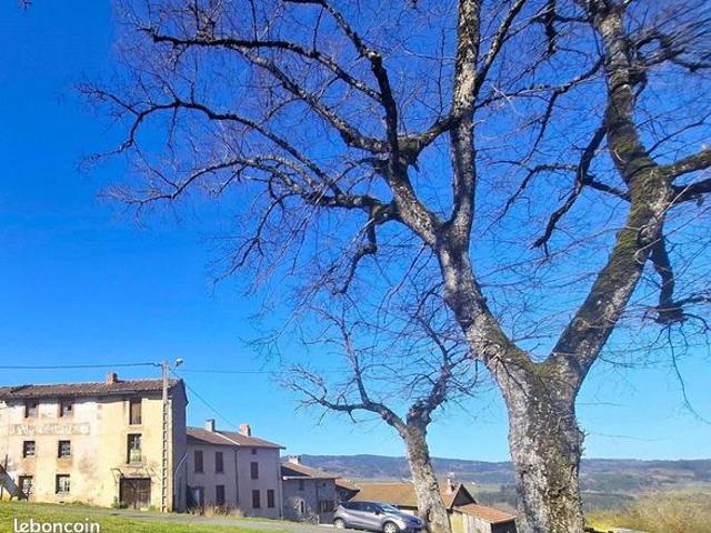 Maison vente à Ambert, Saint-amant-roche-savine