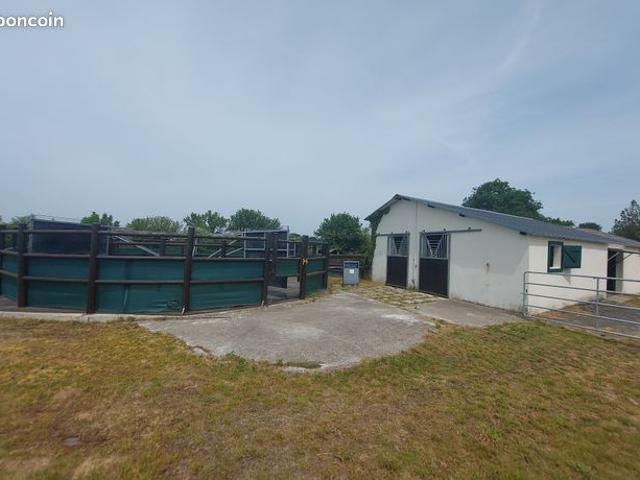 Maison vente à Grand-Auverné, Loire-Atlantique