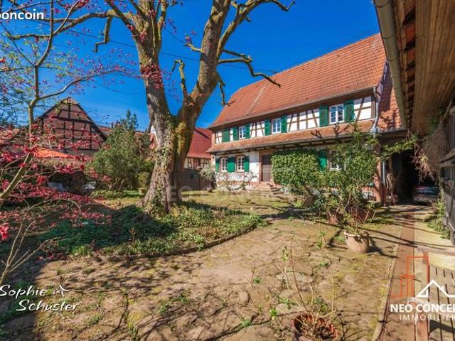 Maison vente à Saverne, Mulhausen