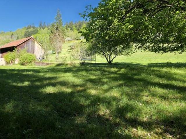 Maison vente à Sélestat-Erstein, Urbeis