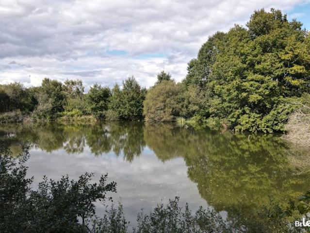 Maison vente à Bais, Ille-et-Vilaine