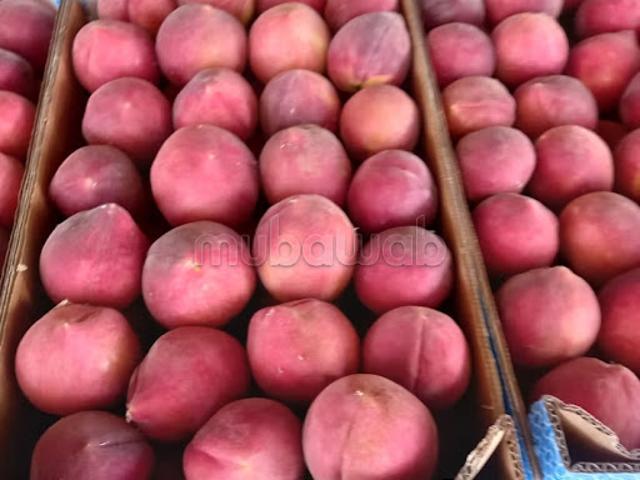 Propriété vente à Ain Aicha