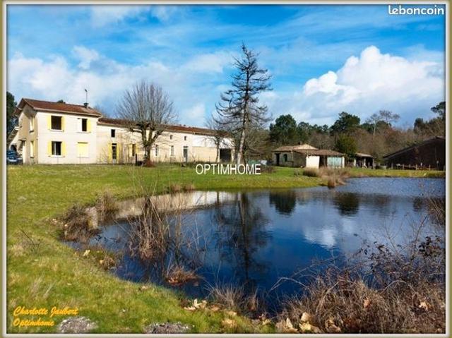 Maison vente à Blaye, Donnezac