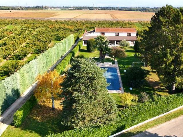 Maison vente à Châteauneuf-sur-isère, Guadeloupe