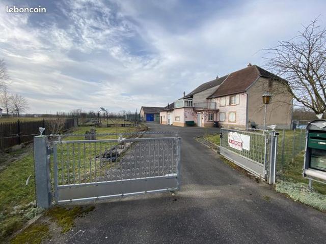 Maison vente à Saverne, Berg