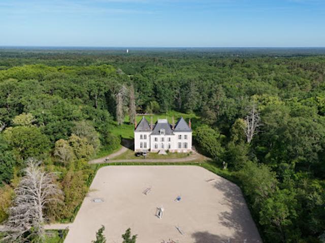 Château vente à Romorantin-Lanthenay, Theillay
