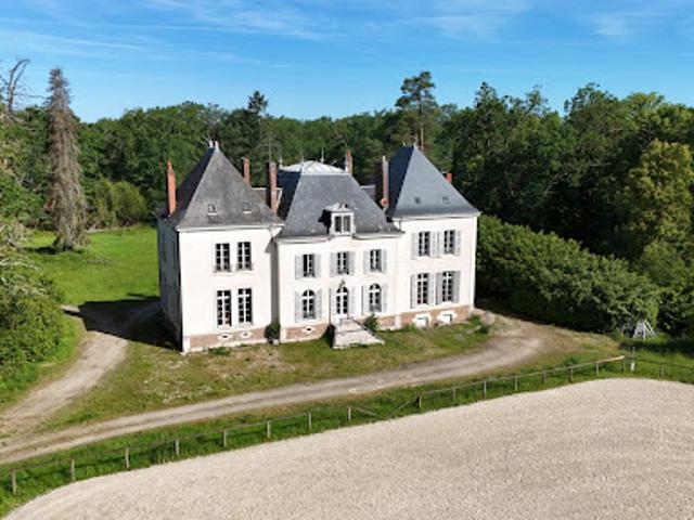 Château vente à Romorantin-Lanthenay, Theillay