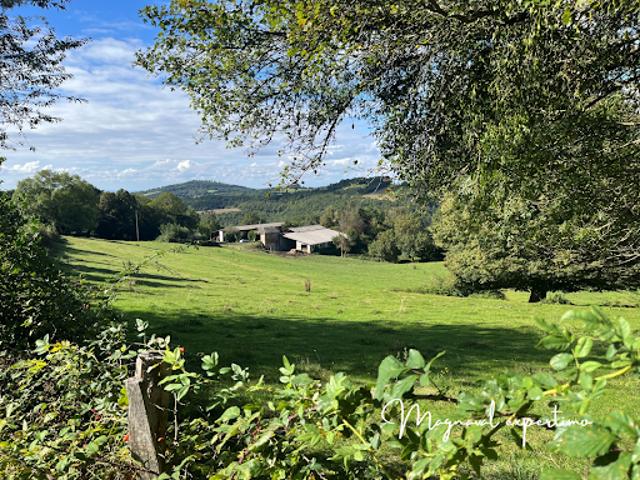 Maison vente à Castres, Montredon-labessonnié