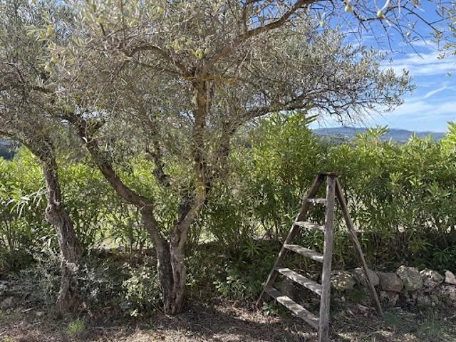Maison vente à Brignoles, Carcès