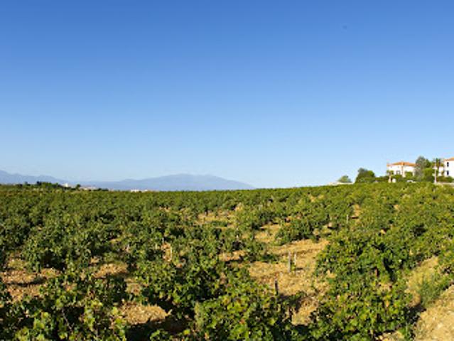 Maison vente à Perpignan