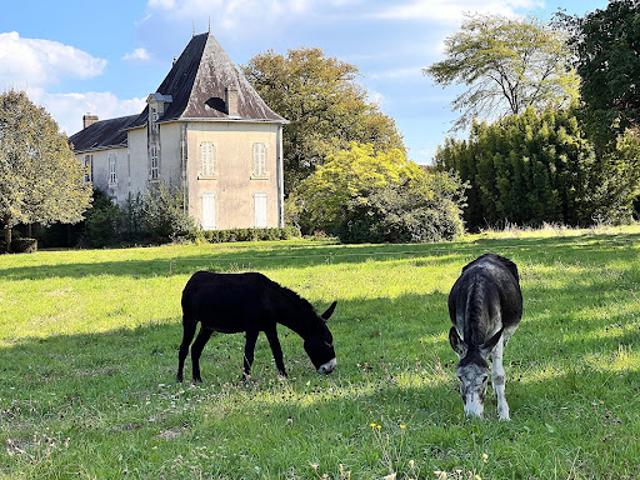 Maison vente à Les Sables-d'Olonne, Moutiers-les-mauxfaits
