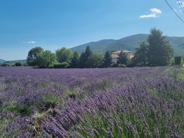 Maison vente à Forcalquier, Sisteron