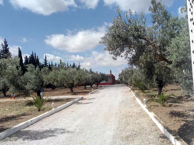 Maison vente à Ben Arous