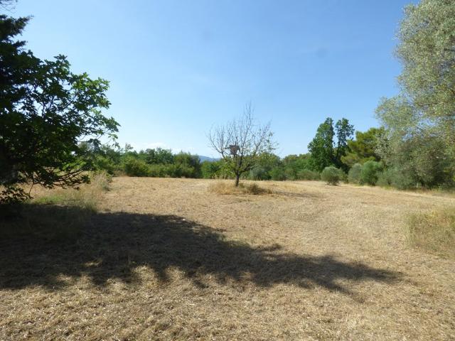 Maison vente à Arrondissement de Draguignan, Fayence