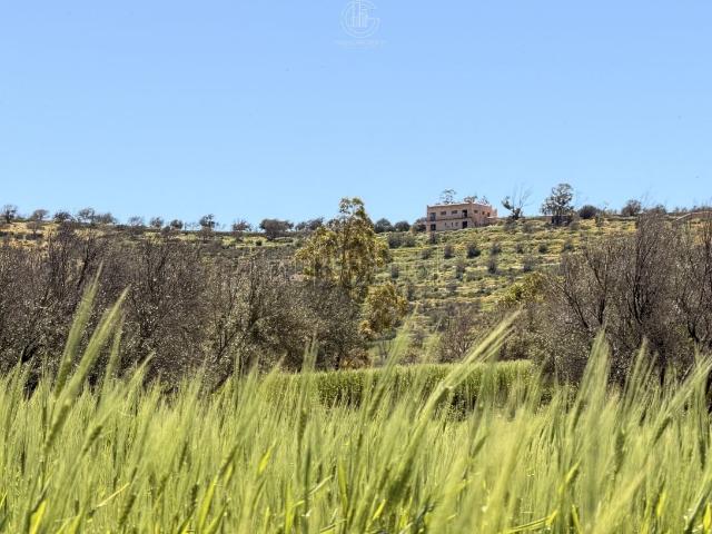 Villa vente à Essaouira, L'Oriental