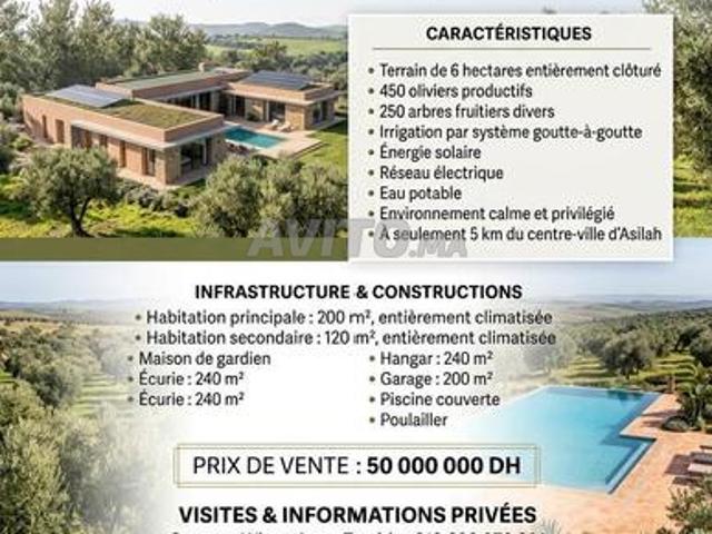 Propriété vente à Assilah, Tanger-Tétouan