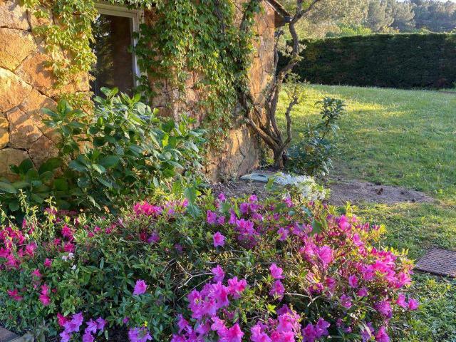 Maison vente à Villefranche-de-Lonchat, Dordogne