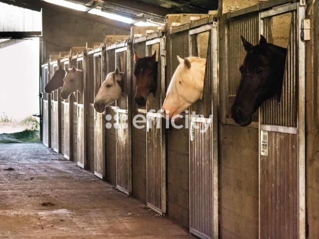 Ferme vente à Condom, Urdens
