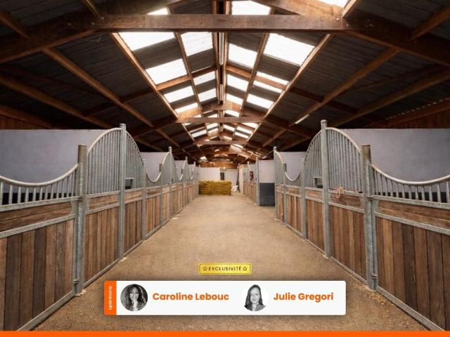 Maison vente à Mortagne-au-Perche, Nocé