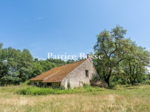 Maison vente à Romorantin-Lanthenay, Salbris