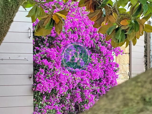 Maison vente à Grasse, Le Tignet
