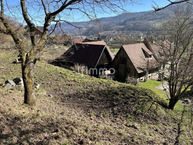 Maison vente à Colmar-Ribeauvillé, Grand Est