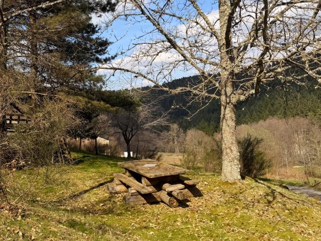 Ferme vente à Yssingeaux, Tence