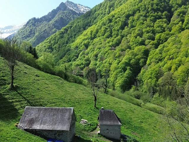 Maison vente à Saint-Girons, Les Bordes-sur-lez