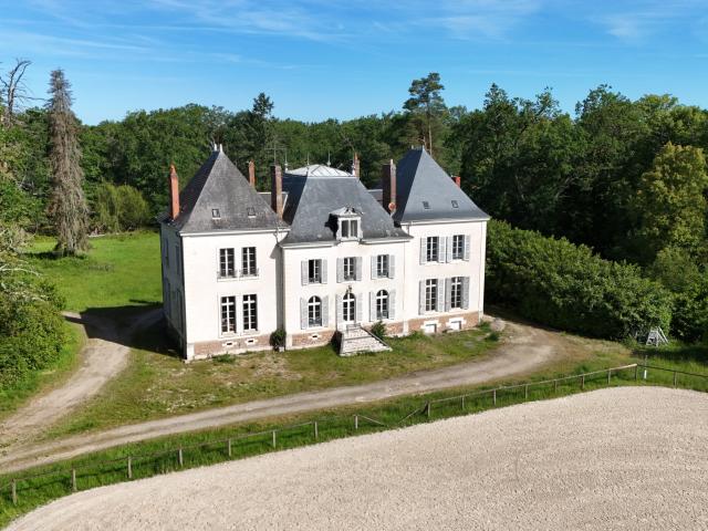 Château vente à Romorantin-Lanthenay, Theillay