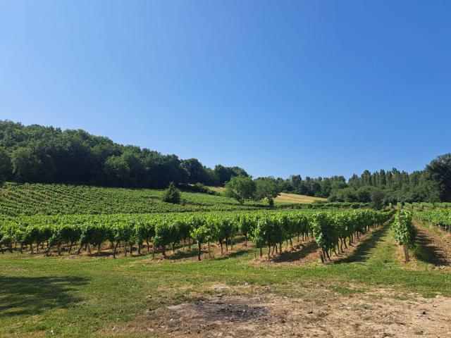 Maison vente à Libourne, Nouvelle-Aquitaine