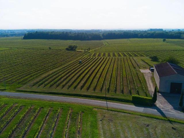Maison vente à Langon, Sauveterre-de-guyenne
