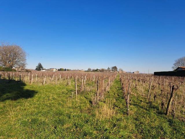 Maison vente à Libourne, Saint-emilion