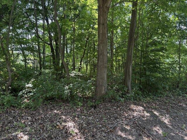 Land for sale in Coloma