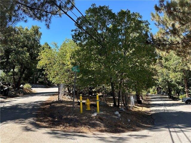 Land for sale in Forest Falls Land for sale in Forest Falls
