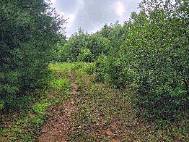 Land for sale in New Hampshire