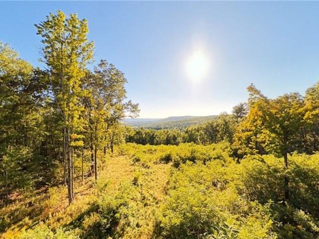 Land for sale in Village of Horseheads, Town of Horseheads