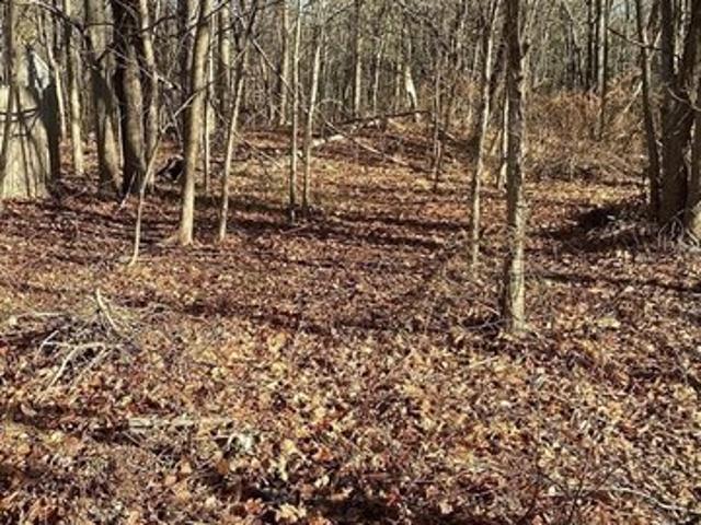 Land for sale in Brockton, Massachusetts