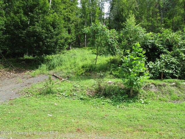 Land for sale in Susquehanna Land for sale in Susquehanna