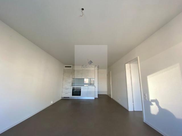 Apartment mieten in La Chaux-de-Fonds