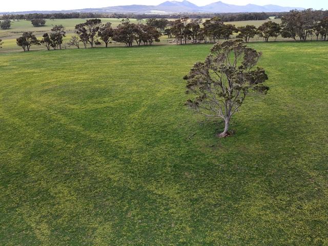 Cottage for sale in Narrikup, Western Australia