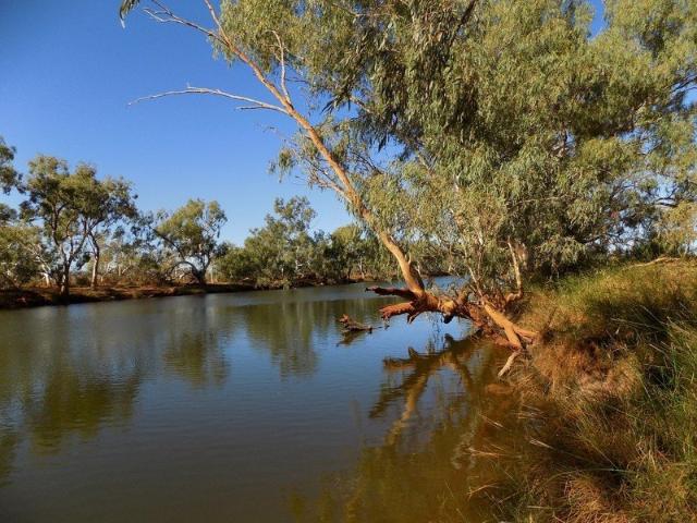 Cottage for sale in West Lyons River, Western Australia