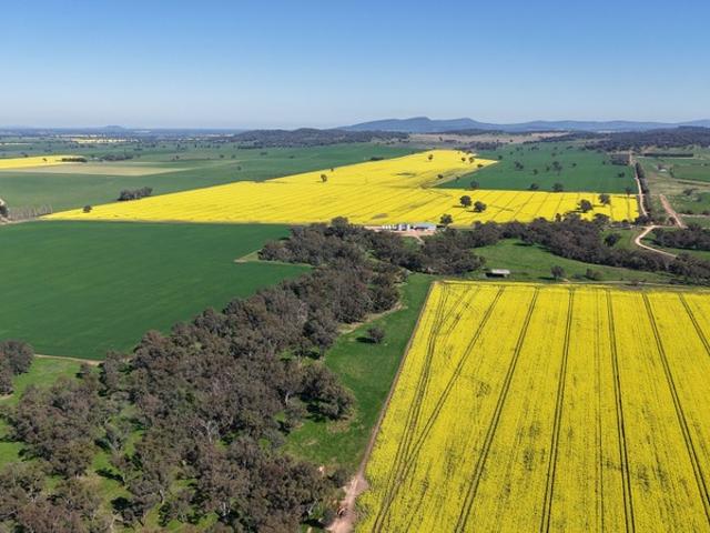 Property for sale in Grenfell, New South Wales